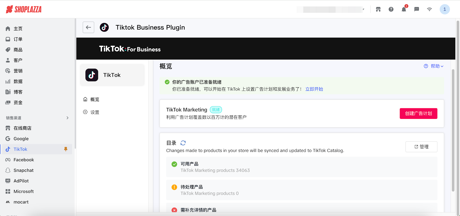 tiktok marketing.png