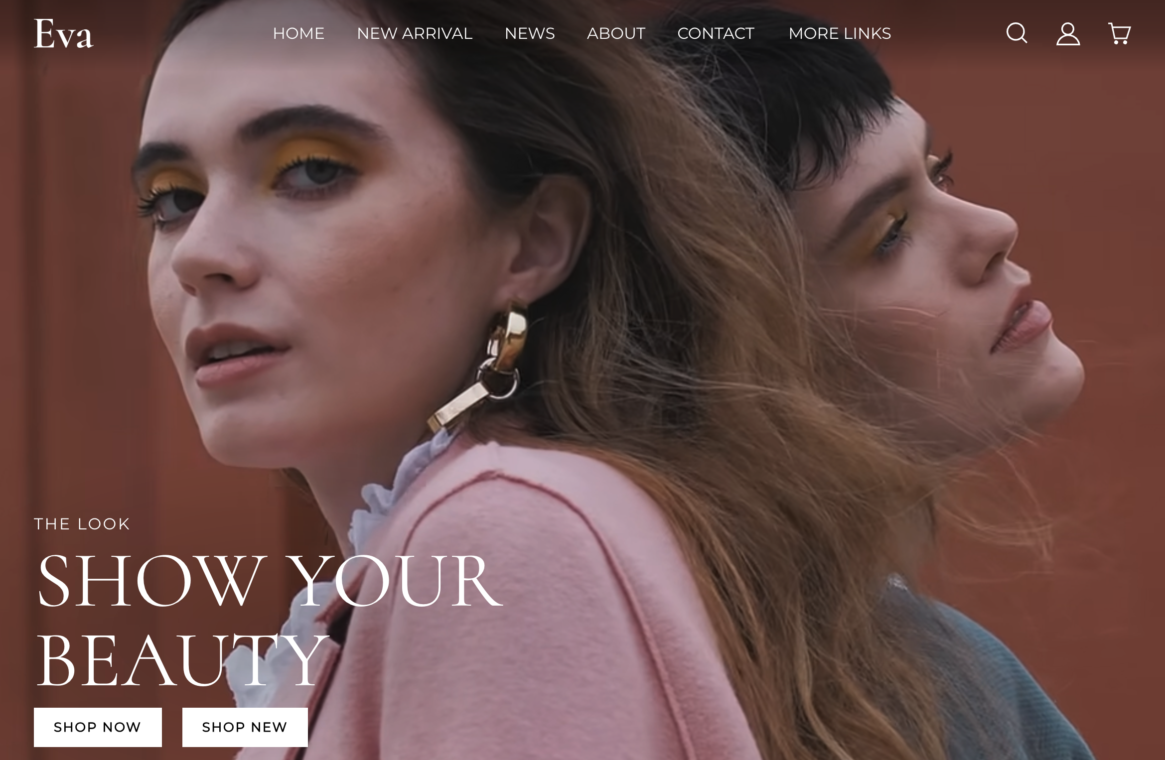 店匠Shoplazza Eva 主题