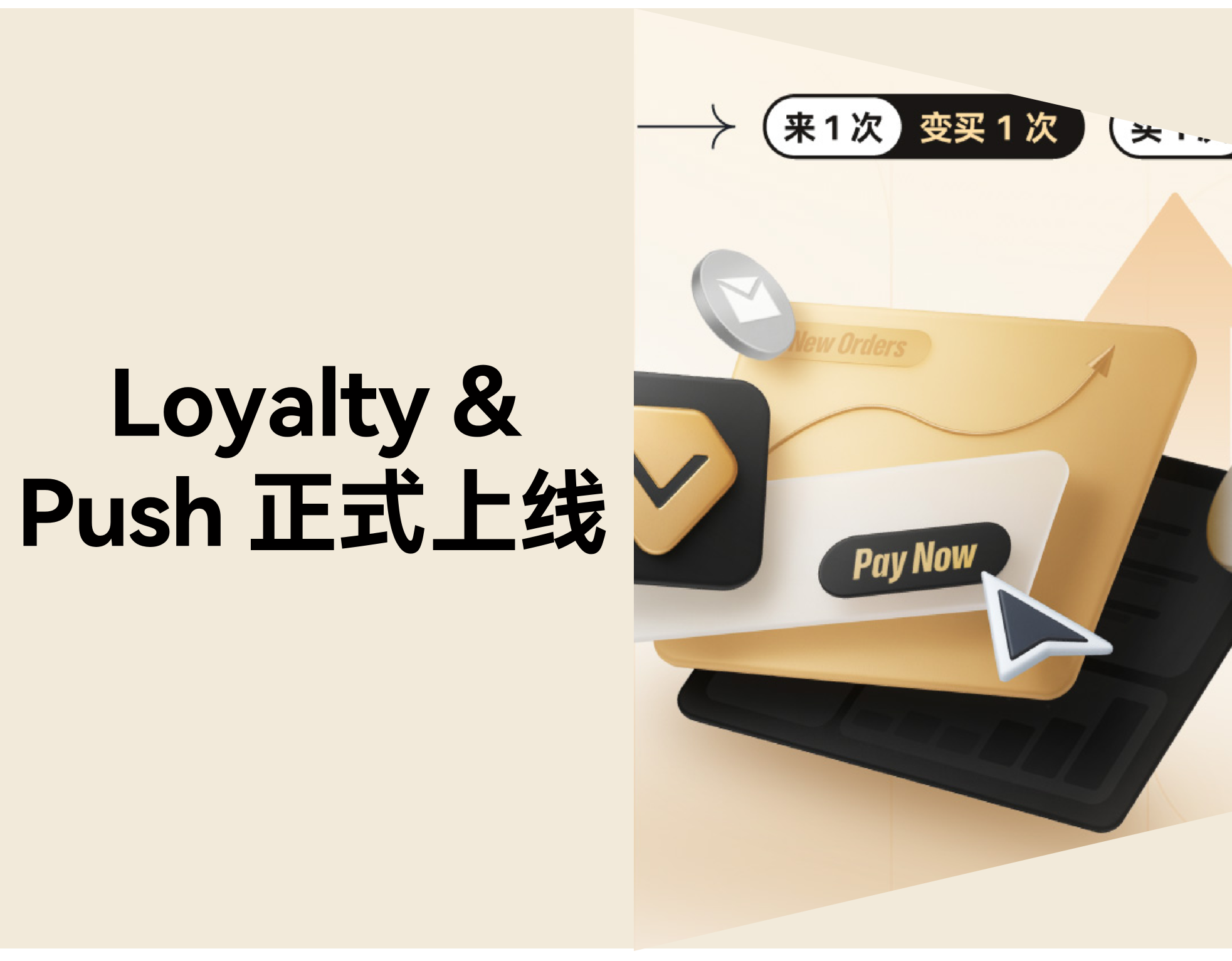 转化停滞、用户沉睡、复购乏力？店匠「Loyalty & Push」帮你激活客户价值